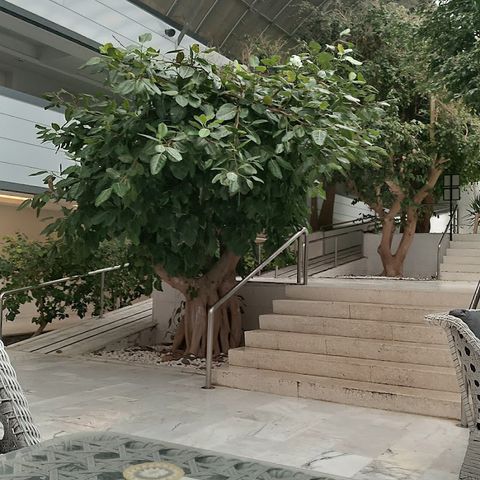 Maissha Spa Çeşme, spa in Çeşme, Turkey